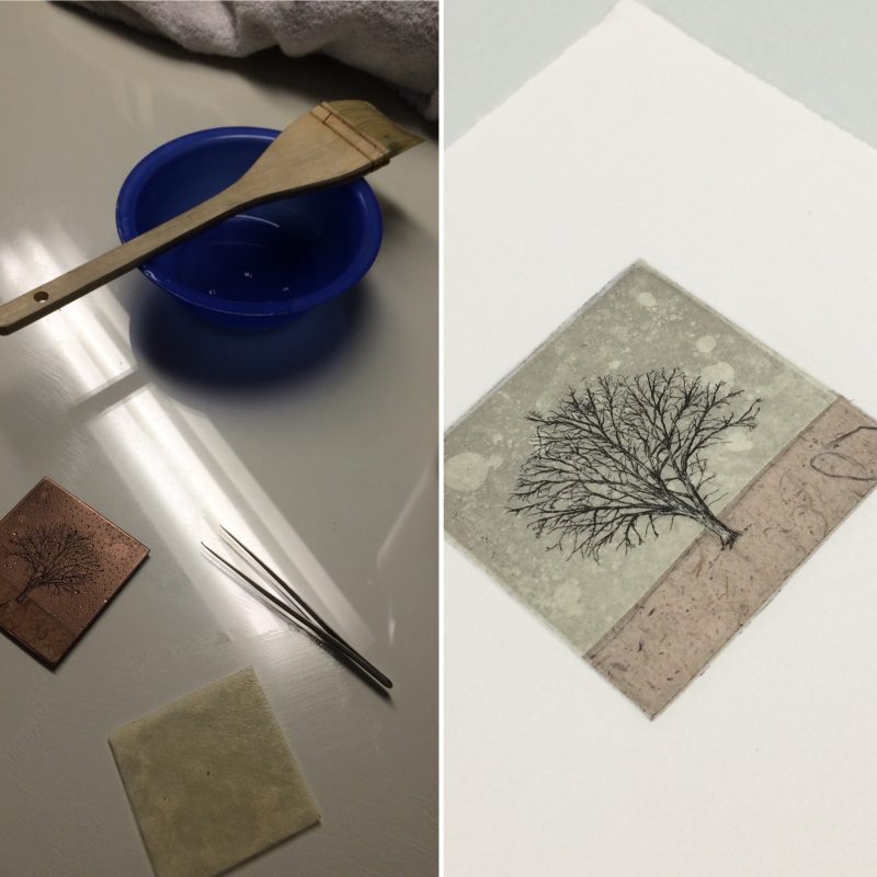 Chine-collé Etching with Japanese paper