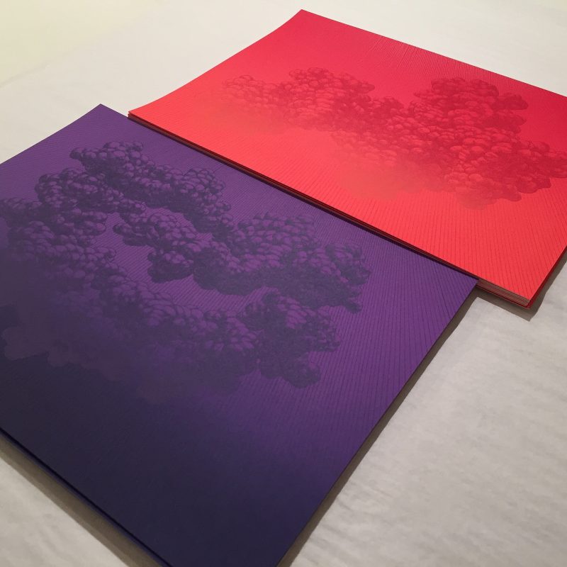 Meaghan Hyckie - Screenprint Editons