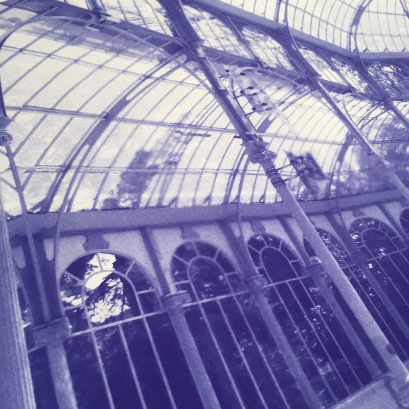 Penelope Stewart - Botanique- Diazotype printed at Smokestack (detail)