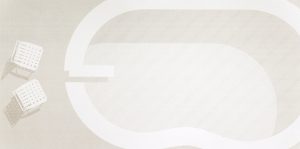 David Trautrimas - A Body Needs a Body to be a Place