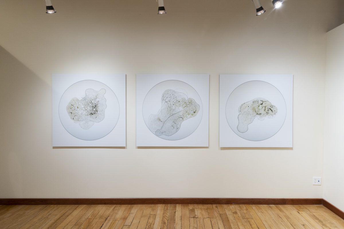 Chris Myhr - Suspensions series