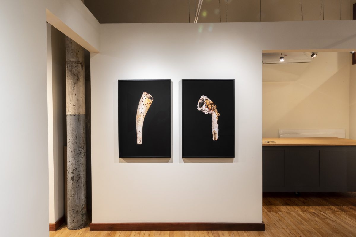 Chris Myhr - Vessels: Between Teeth (Untitled #331 & Untitled #300)