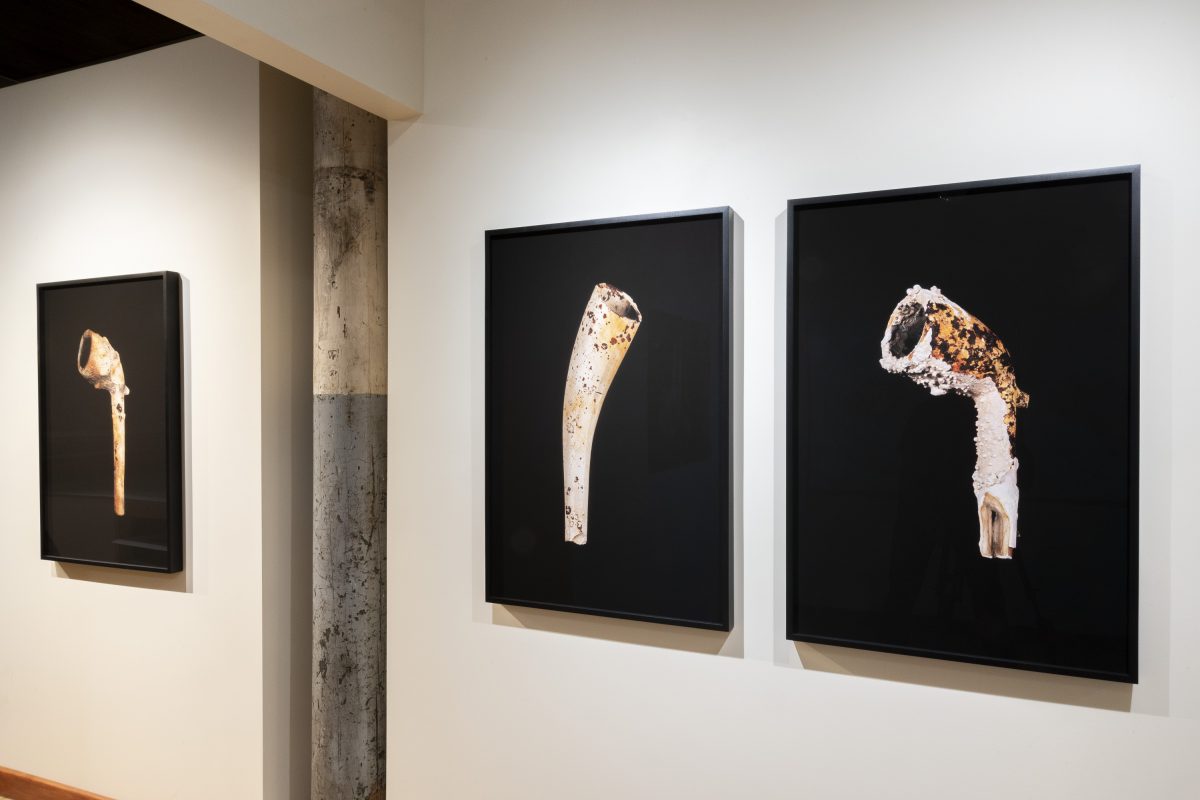 Chris Myhr - Vessels: Between Teeth series