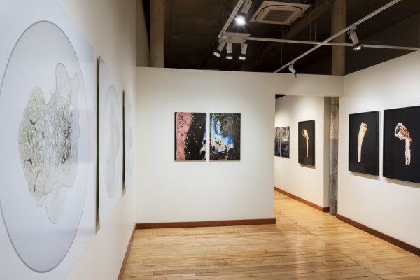 Chris Myhr - Vessels and Suspensions, 2020