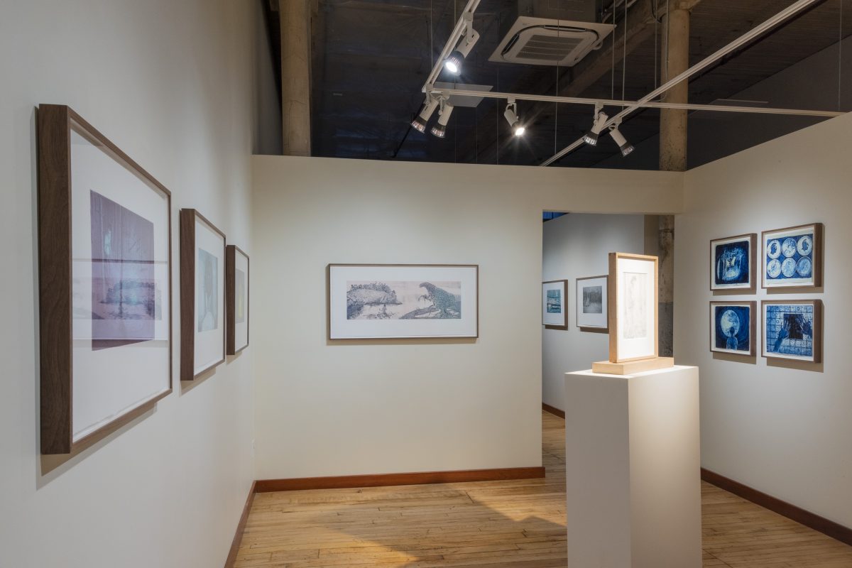 Tyler Bright Hilton - I liked you right away