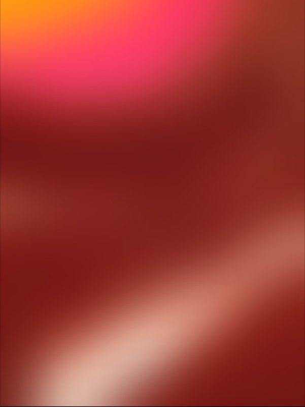 Hazel May Eckert - Soft Focus IMG_1949