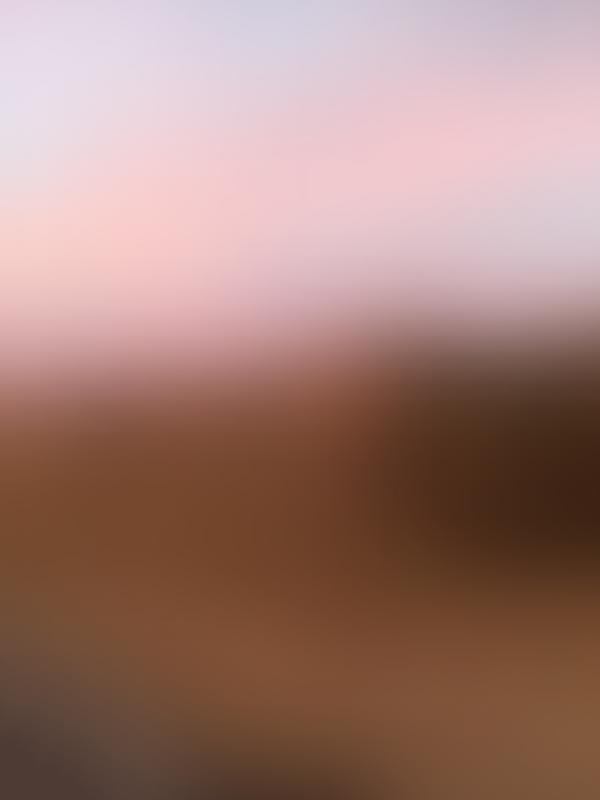 Hazel May Eckert - Soft Focus IMG_2143