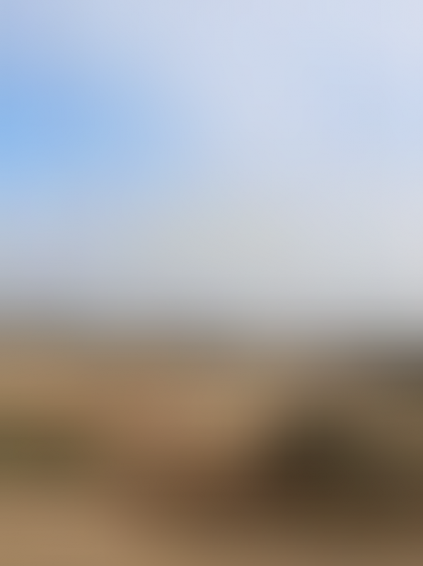 Hazel May Eckert - Soft Focus IMG_2176