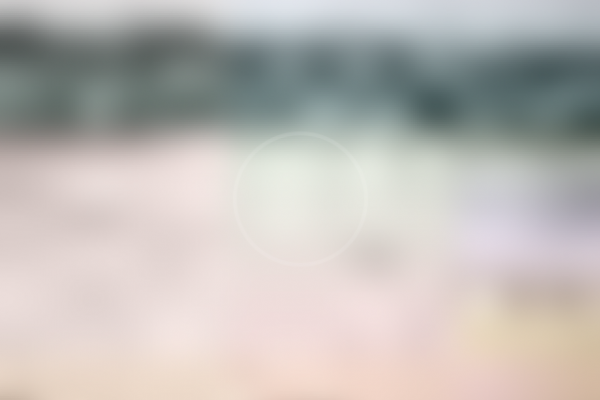 Hazel May Eckert - Soft Focus IMG_3899