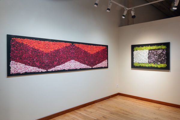 Danny Custodio - Flower Carpets / Tapetes Floridos