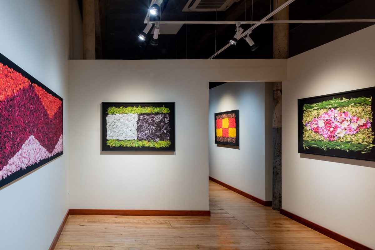 Danny Custodio - Flower Carpets / Tapetes Floridos