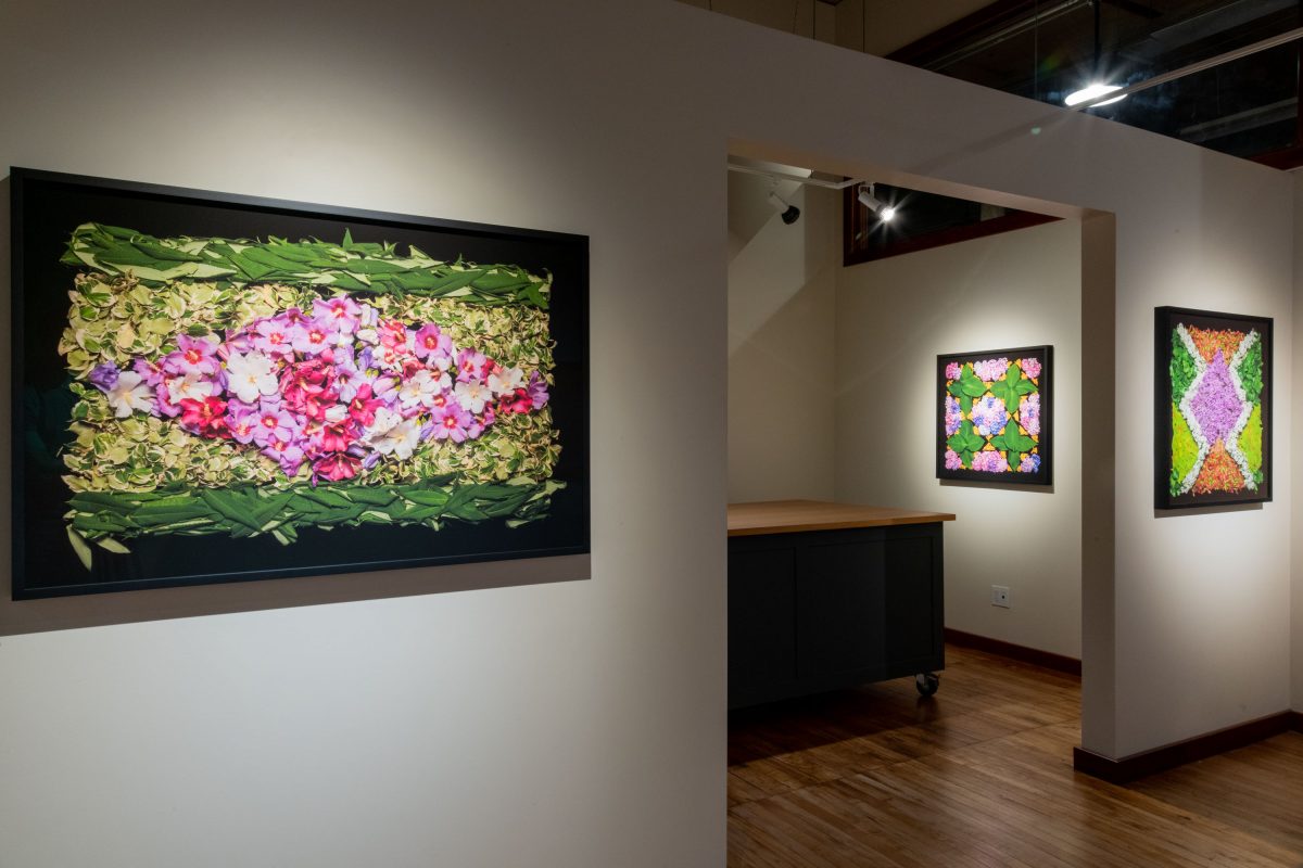 Danny Custodio - Flower Carpets / Tapetes Floridos