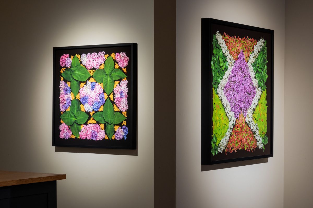 Danny Custodio - Flower Carpets / Tapetes Floridos