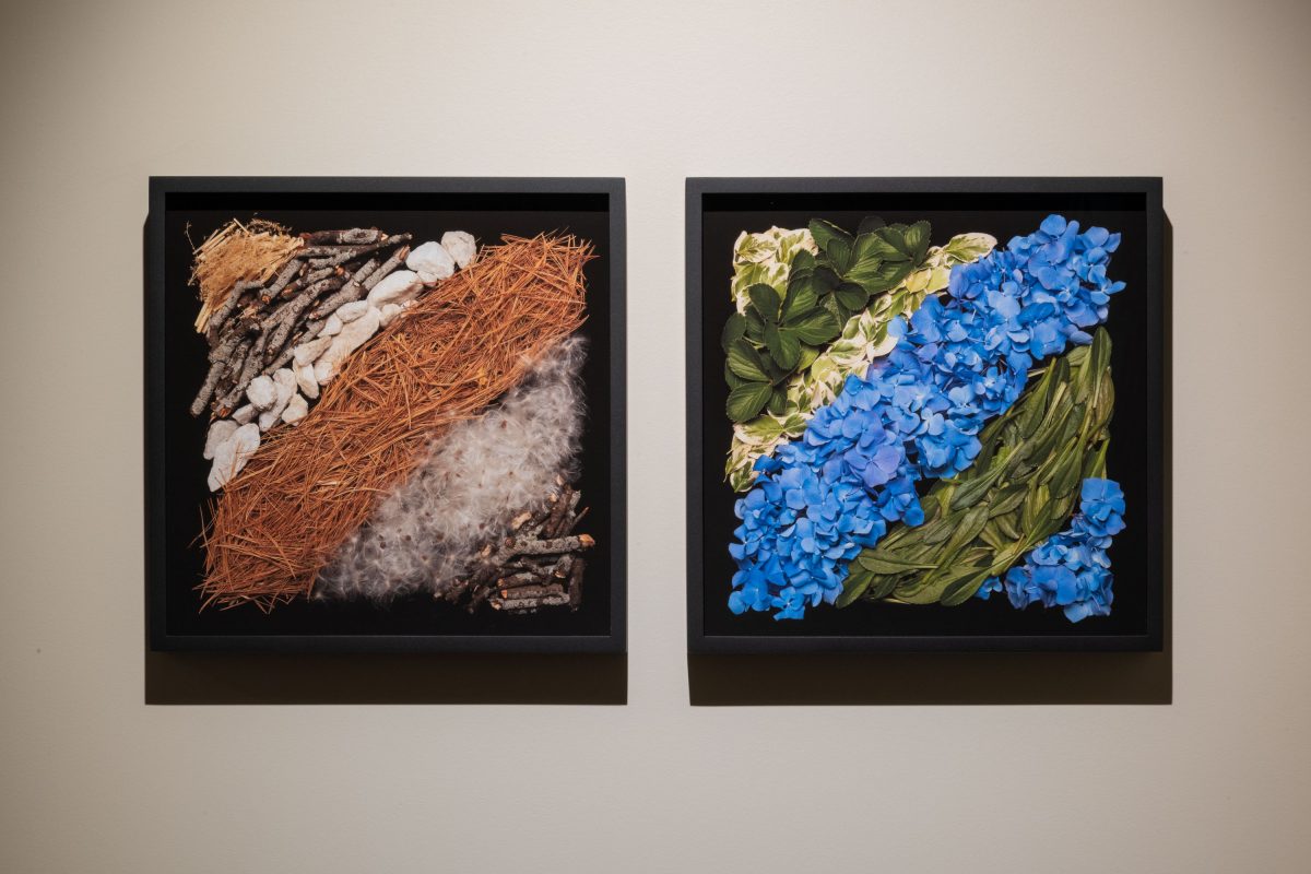 Danny Custodio - Winter and Summer, Smokestack special limited editions