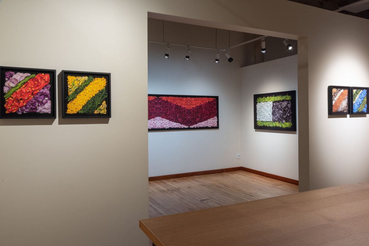 Danny Custodio - Flower Carpets / Tapetes Floridos