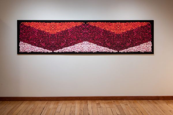 Danny Custodio - Chrysanthemums