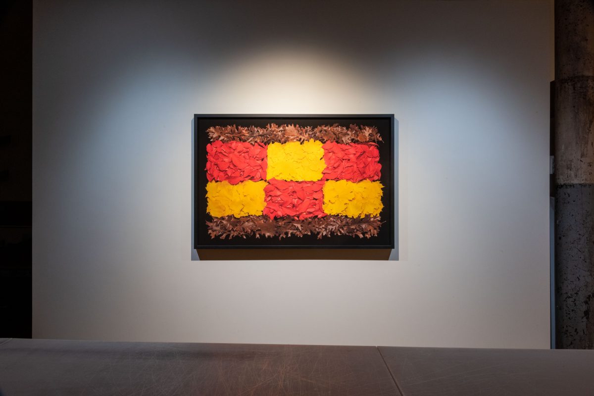 Danny Custodio - Yellow Maple, Euonymus Alatus, Oak