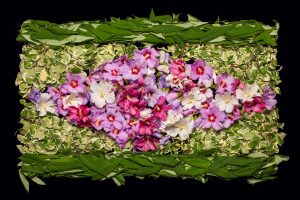 Danny Custodio - Rose of Sharon, Euonymus, Sumac