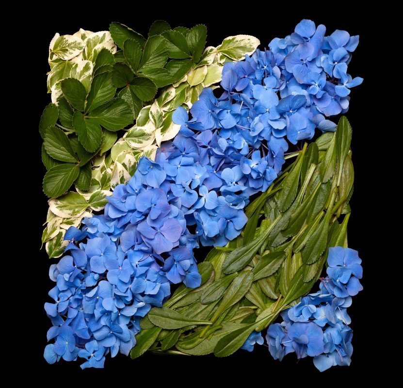 Danny Custodio - Summer