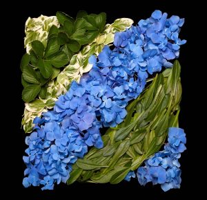 Danny Custodio - Summer