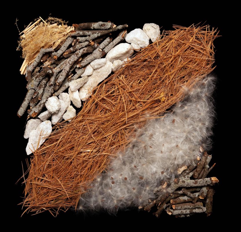 Danny Custodio - Winter