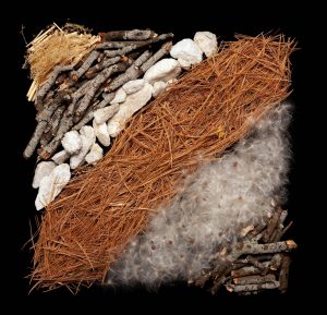 Danny Custodio - Winter