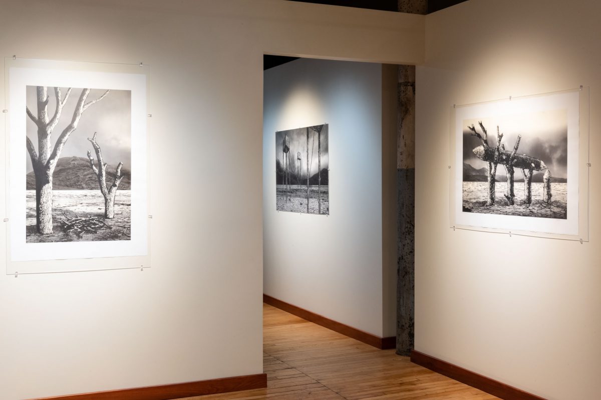 Agata Derda - Dark Roads