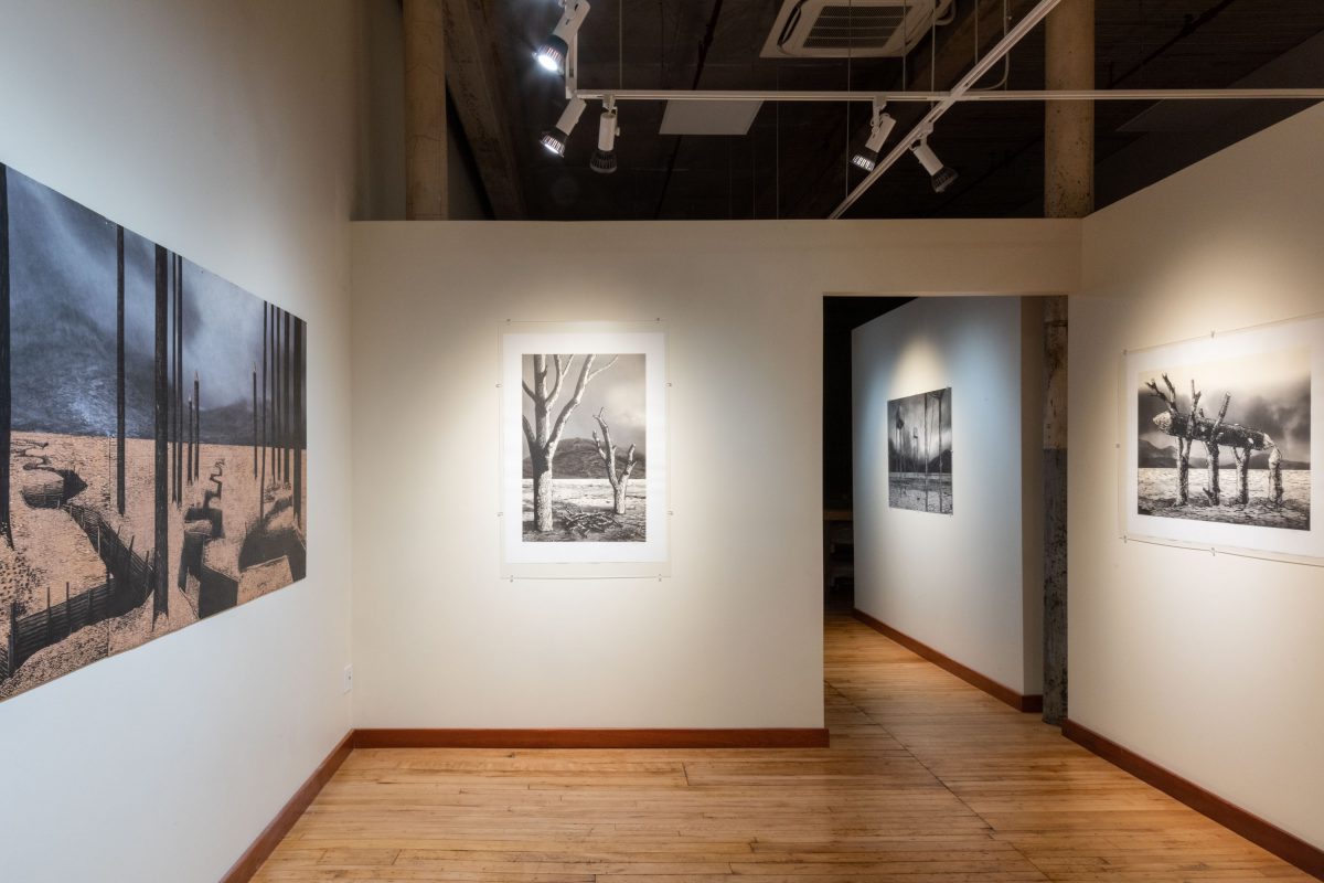 Agata Derda - Dark Roads