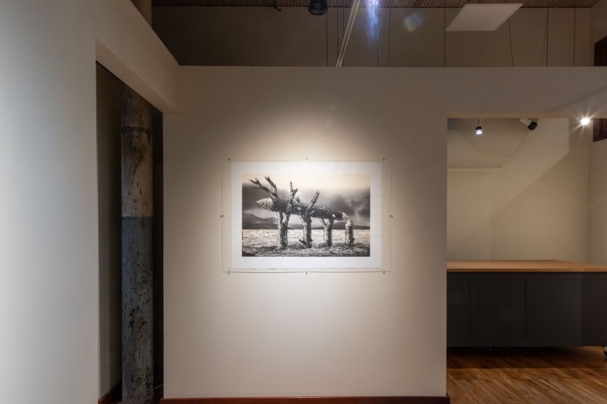 Agata Derda - Jobs We Were Given