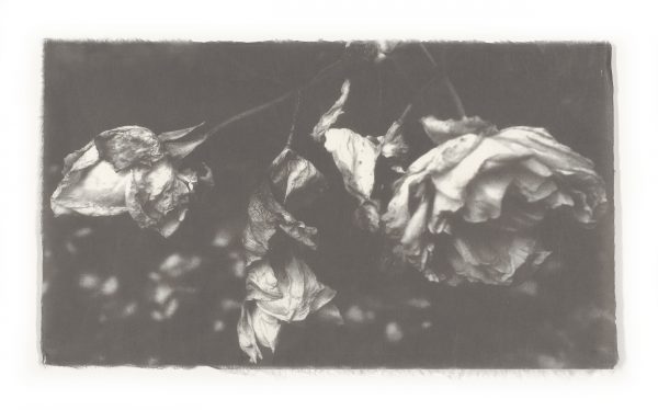 Penelope Stewart - "it used to be that time was deeper II", Smokestack special limited edition