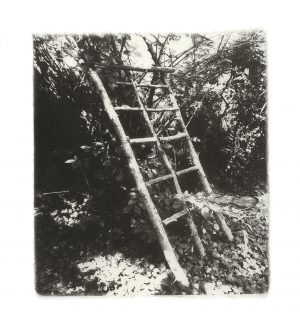 Penelope Stewart - tying to make things exist