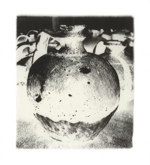 Penelope Stewart - glimpse