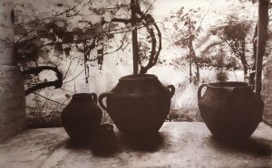 Penelope Stewart - still life and garden where I am just outside the frame