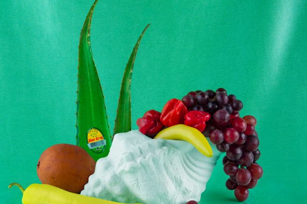 Shellie Zhang - A Trip to the Store, 2021 Smokestack Quarterly Print