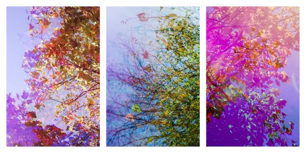 Natalie Hunter - Scent of the Sun, Fall Equinox, 2021