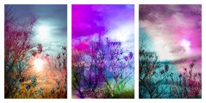 Natalie Hunter - Scent of the Sun (winter solstice), Smokestack limited edition print