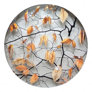 Becky Comber - "January (from the 12 Seasons series)", Smokestack special limited edition