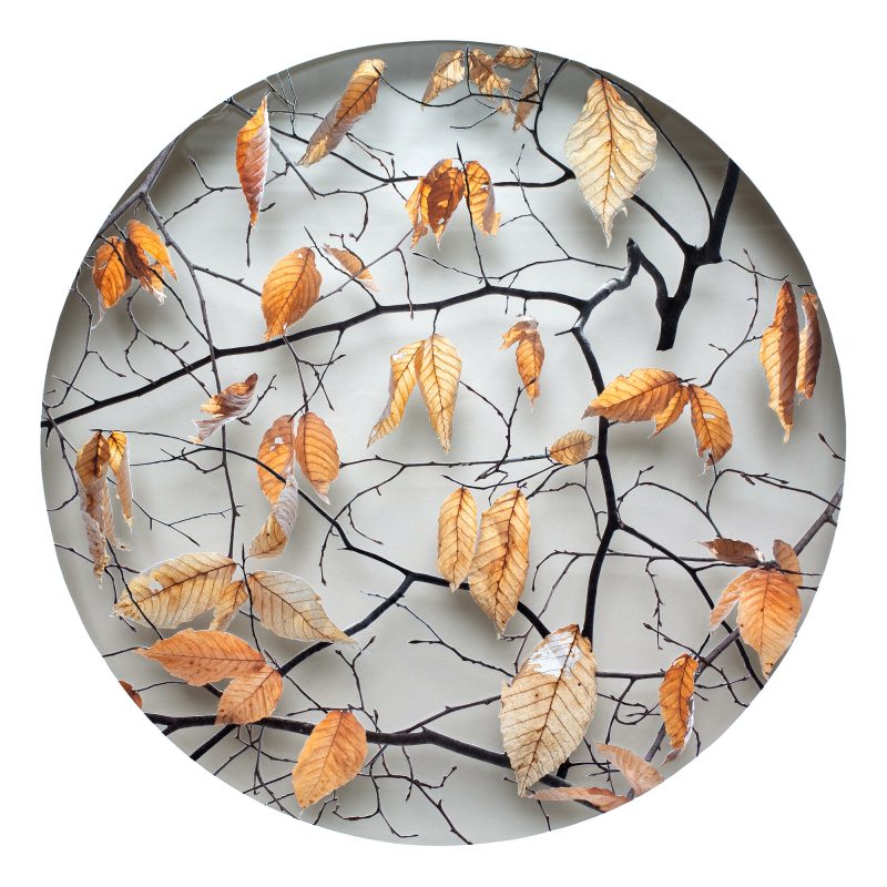 Becky Comber - "January (from the 12 Seasons series)", Smokestack special limited edition