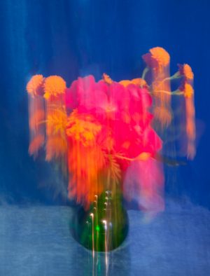 Dainesha Nugent-Palache - Smokestack Quarterly 2022