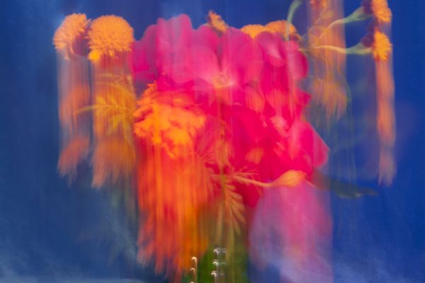 Dainesha Nugent-Palache - Smokestack Quarterly 2022