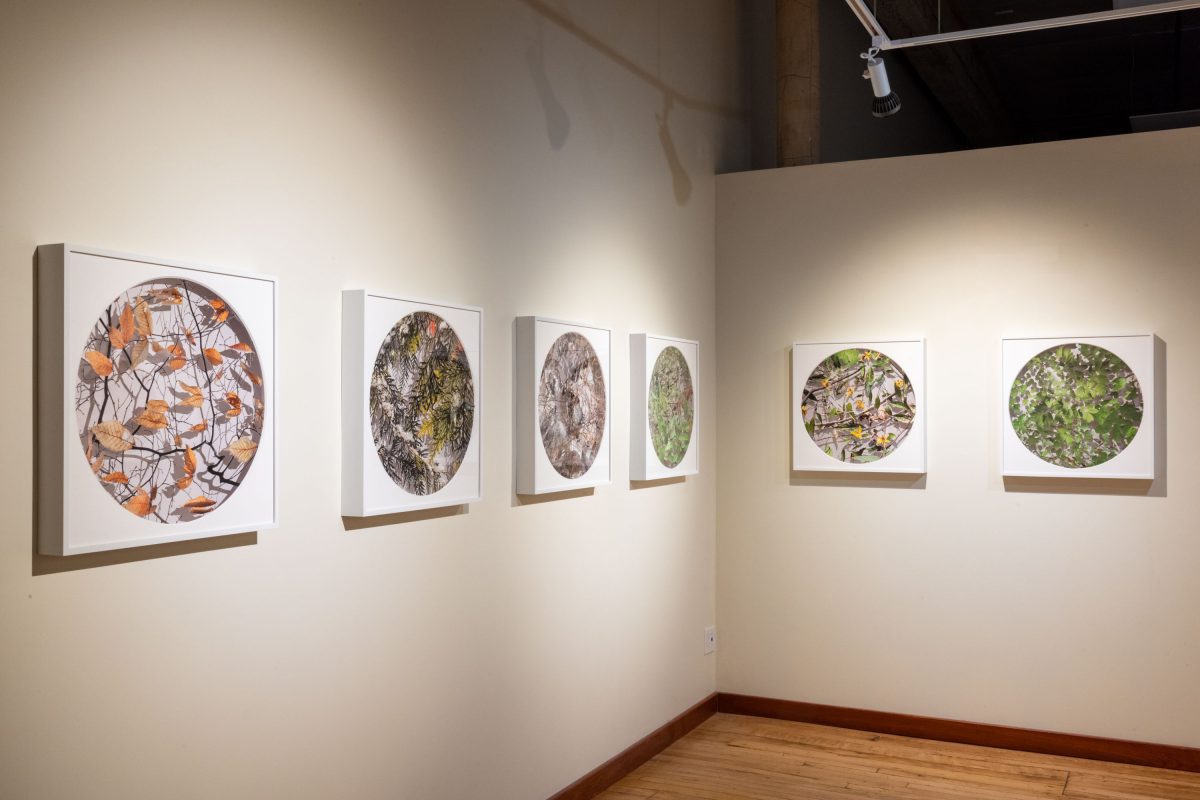 Becky Comber - Smokestack Gallery