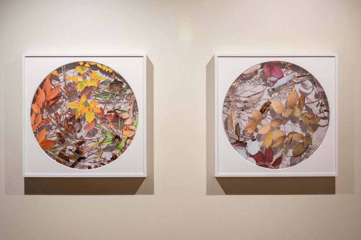 Becky Comber - Smokestack Gallery