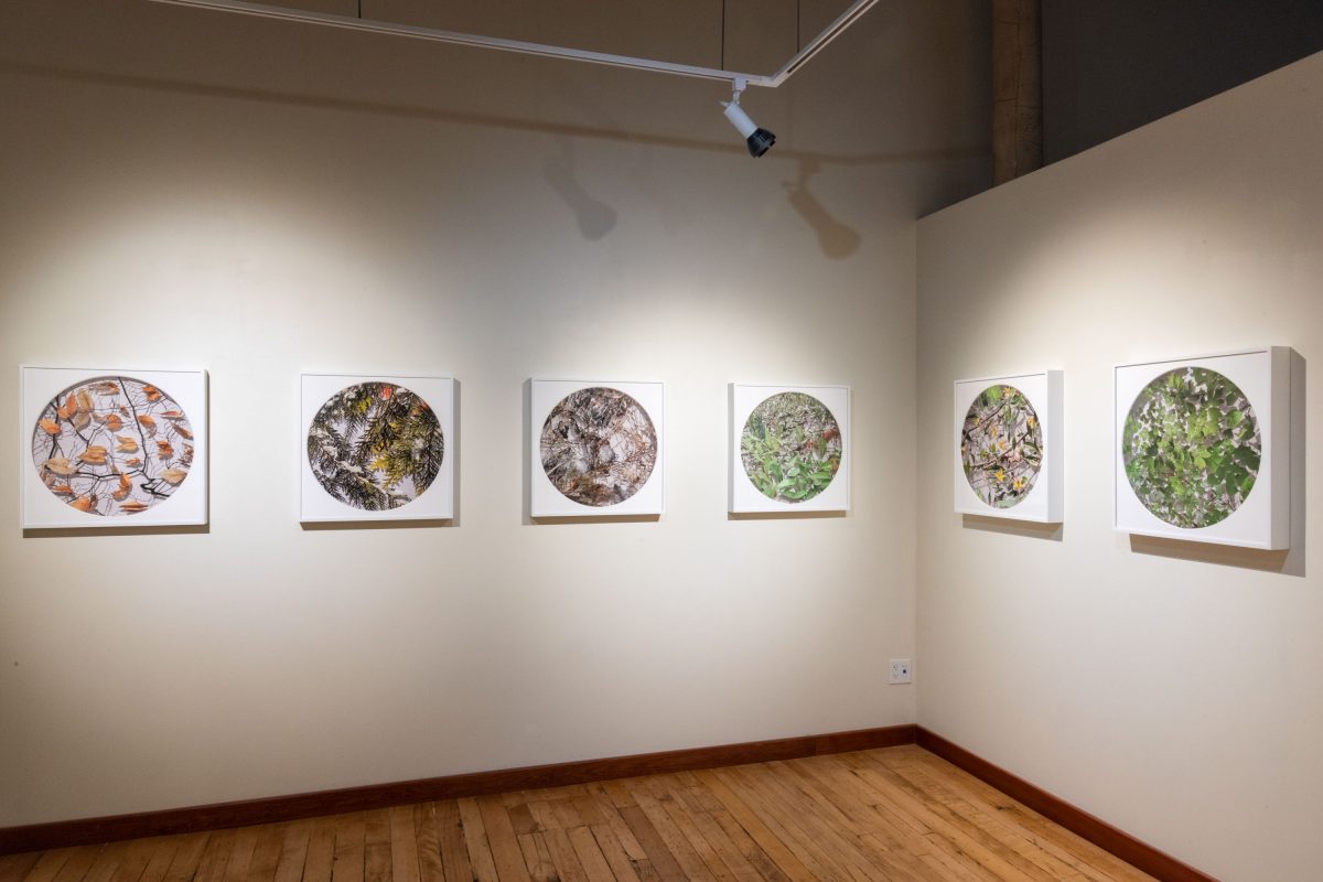 Becky Comber - Smokestack Gallery