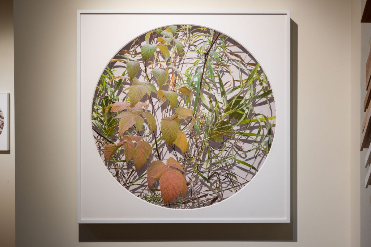 Becky Comber - Smokestack Gallery