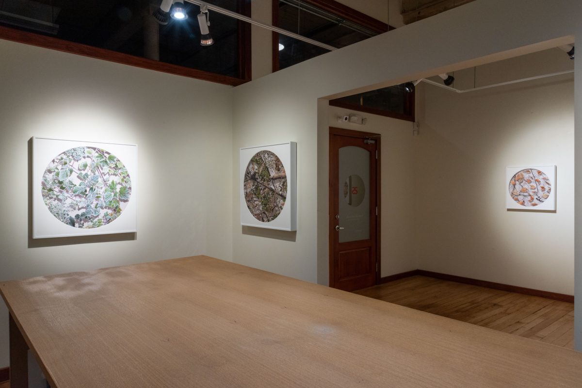 Becky Comber - Smokestack Gallery