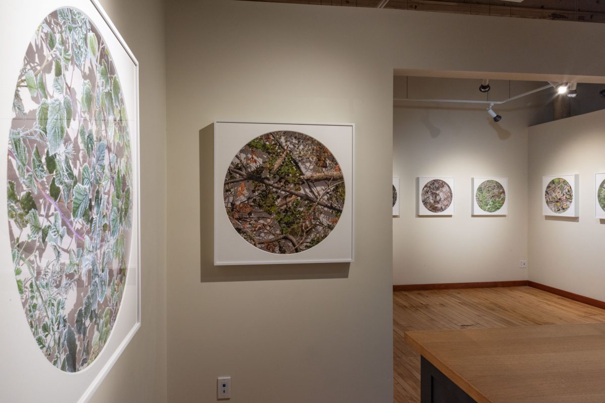 Becky Comber - Smokestack Gallery