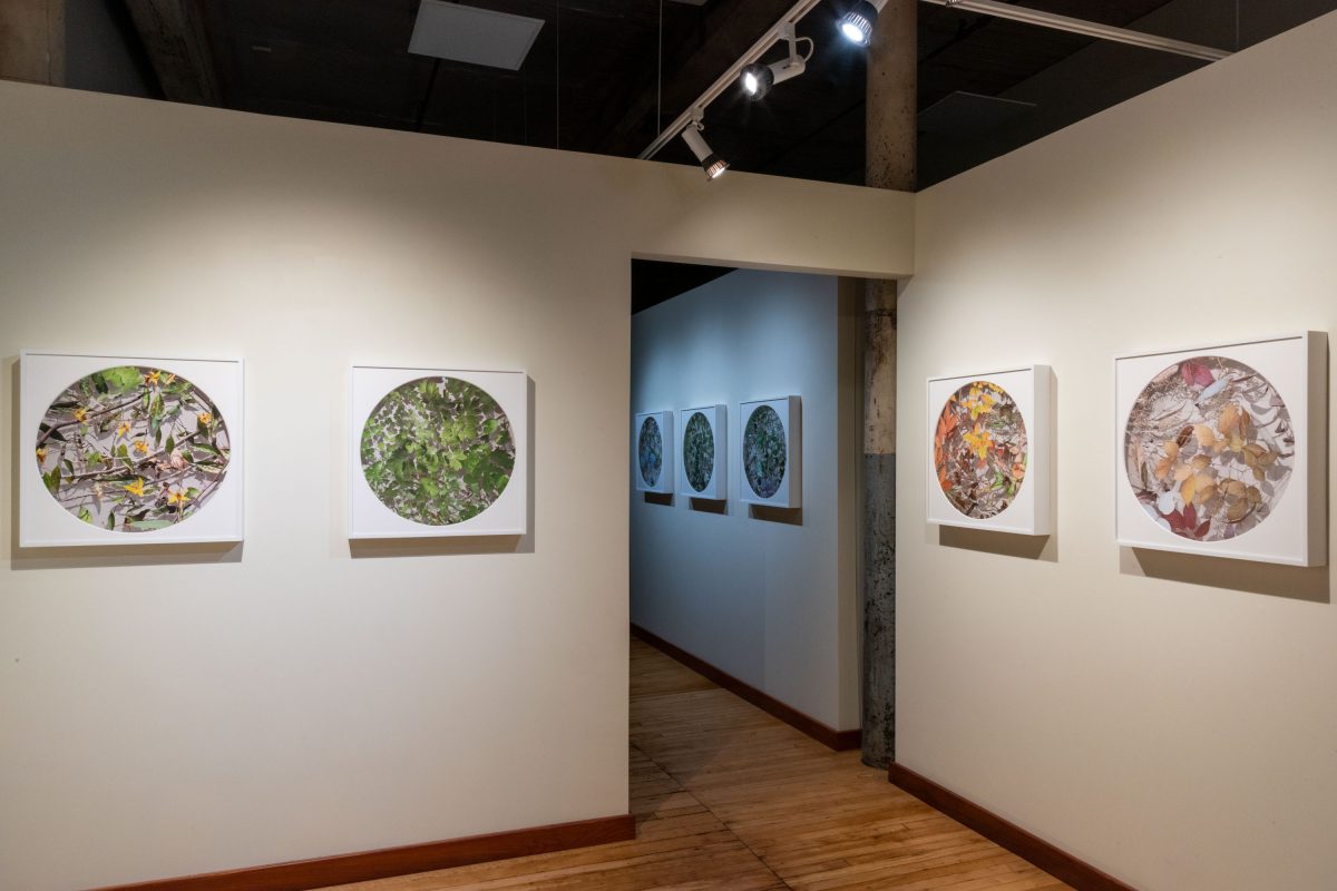 Becky Comber - Smokestack Gallery