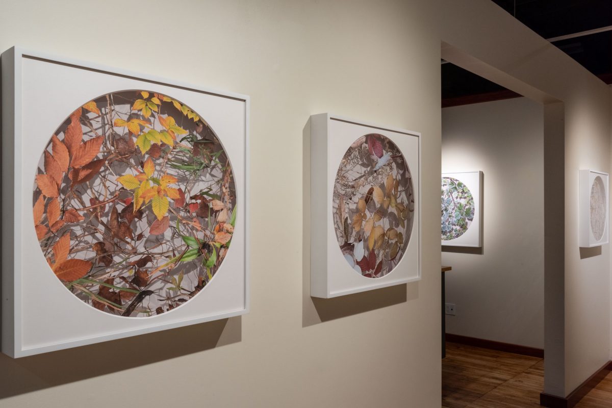 Becky Comber - Smokestack Gallery