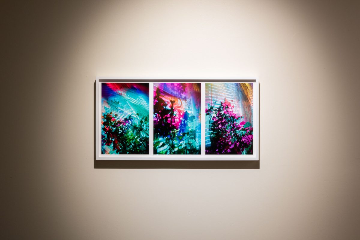 Paper Pushers - Smokestack Gallery - Natalie Hunter