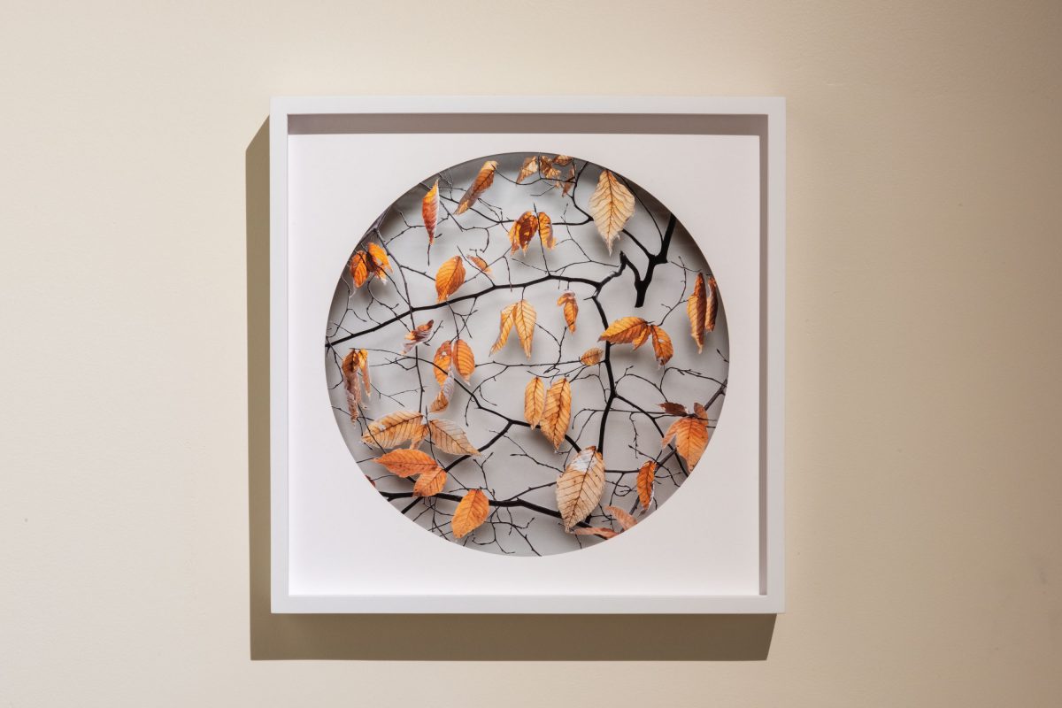 Paper Pushers - Smokestack Gallery - Becky Comber